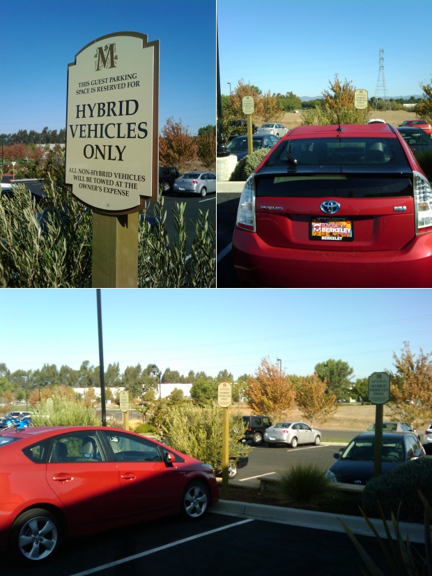 _hybrid-only-2-by1