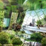 natureinspired_dragonflyfarm-5