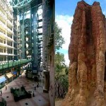 natureinspired_eastgate-2