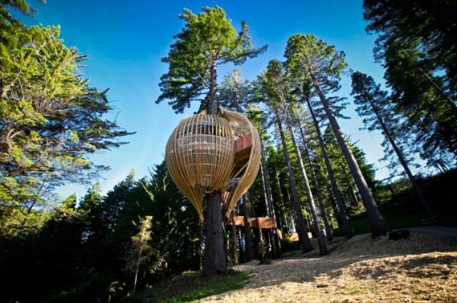 natureinspired_yellowtreehouse-1