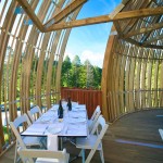 natureinspired_yellowtreehouse-4